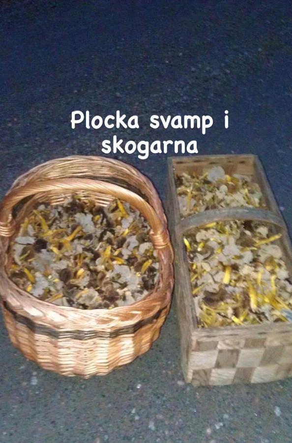 Willa Sigridstorp Asljunga Orkelljunga Zewnętrze zdjęcie
